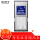 SXS Pro Plus 256 G