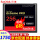 256 G 160 MB/s CFカード